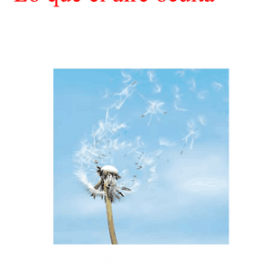 Lo que el aire oculta