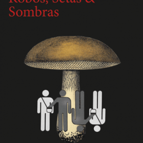 Robos, Setas & Sombras