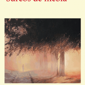 Surcos de niebla