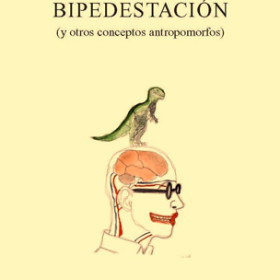 Bipedestación y otros conceptos antropomorfos
