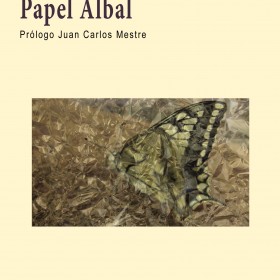 Papel Albal