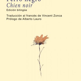 Perro Negro / Chien Noir