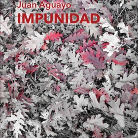 Impunidad