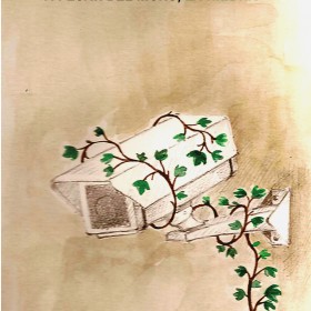 A pesar del muro, la hiedra