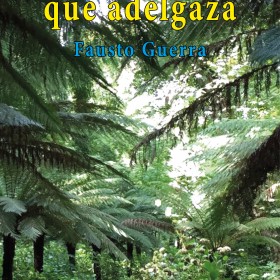 La sombra que adelgaza