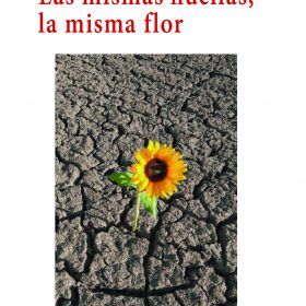 Las mismas huellas, la misma flor