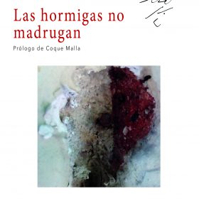 Las hormigas no madrugan