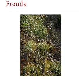 Fronda