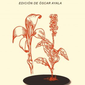 SUEÑOS DE LIRIOS