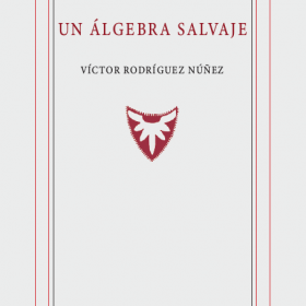 Un álgebra salvaje