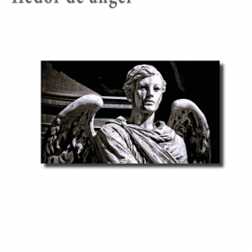Hedor de ángel