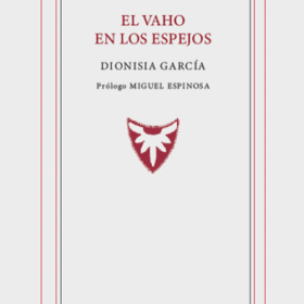 El vaho en los espejos