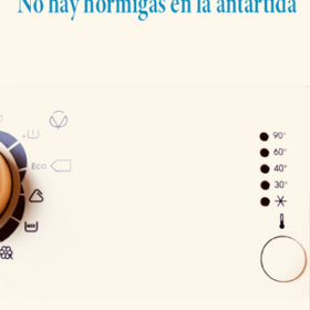 No hay hormigas en la Antártida