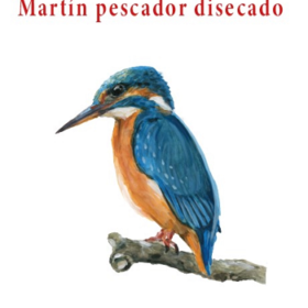 Martín pescador disecado